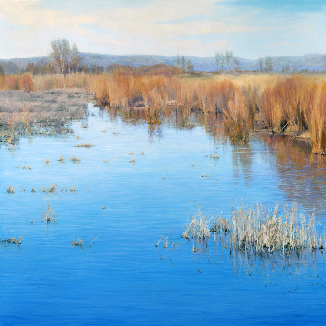 Bosque del Apache I, 48″ x 48″ oil