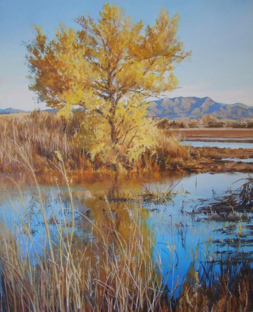 Autumn at Bosque del Apache