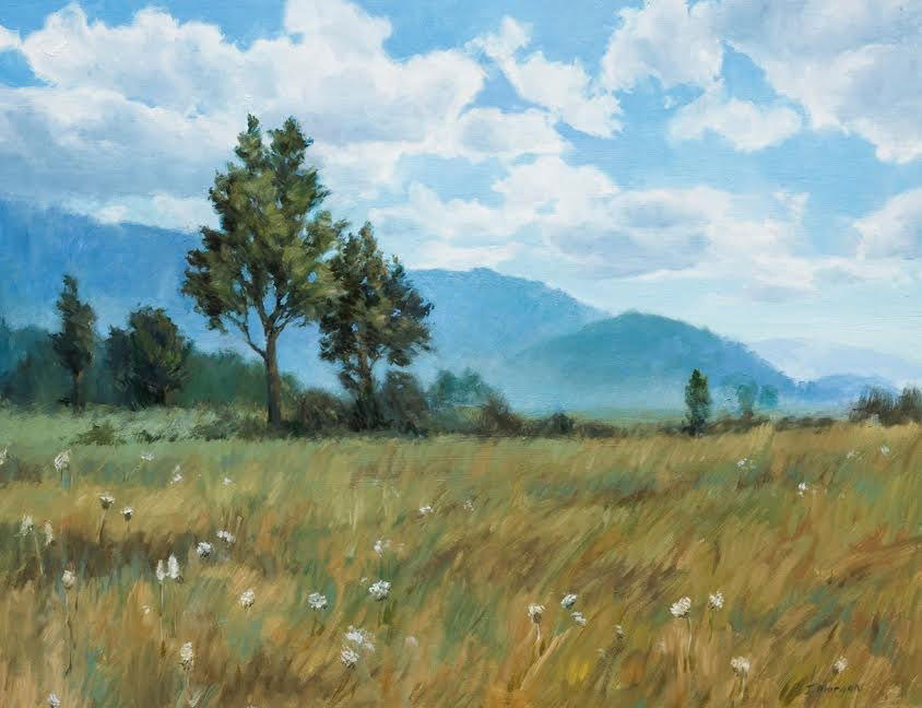 Summer Meadow